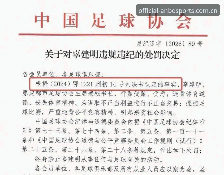安博体育官网下载使用指南 足协第三批禁足名单深度分析:17人终身禁赛背后的治理逻辑与行业警示